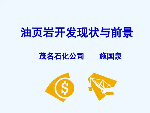油页岩开发现状与前景(ok)