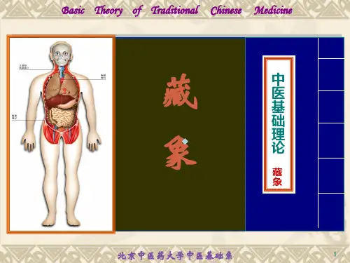 藏象学说心ppt课件