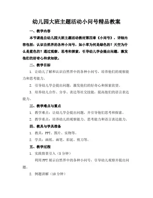 幼儿园大班主题活动小问号精品教案