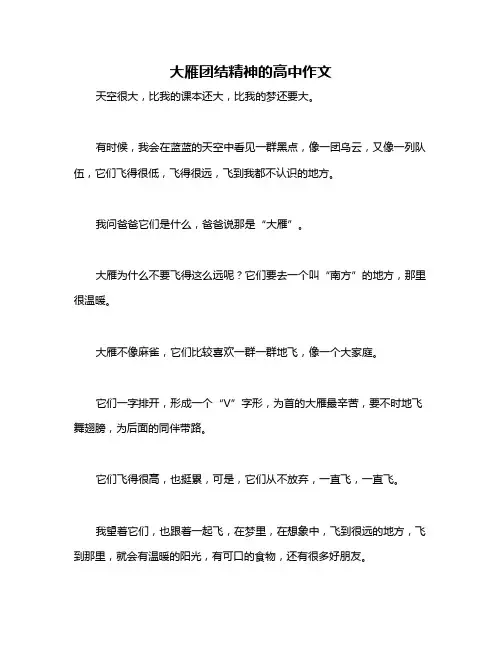 大雁团结精神的高中作文
