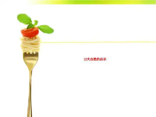 12大自然的启示