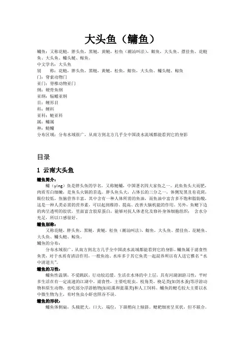 大头鱼