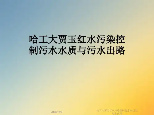 哈工大贾玉红水污染控制污水水质与污水出路