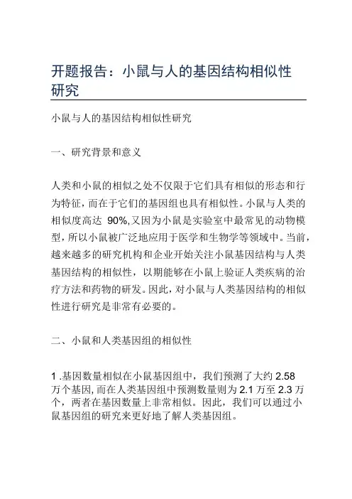 开题报告：小鼠与人的基因结构相似性研究