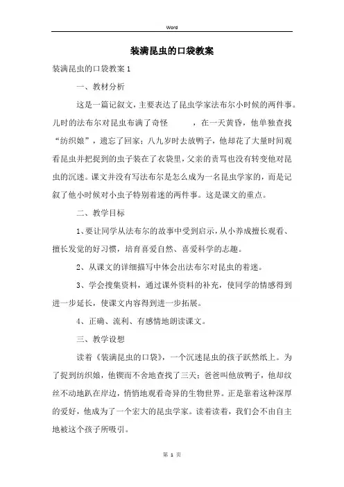 装满昆虫的口袋教案