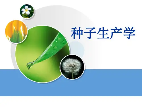 种子生产学概论 PPT课件