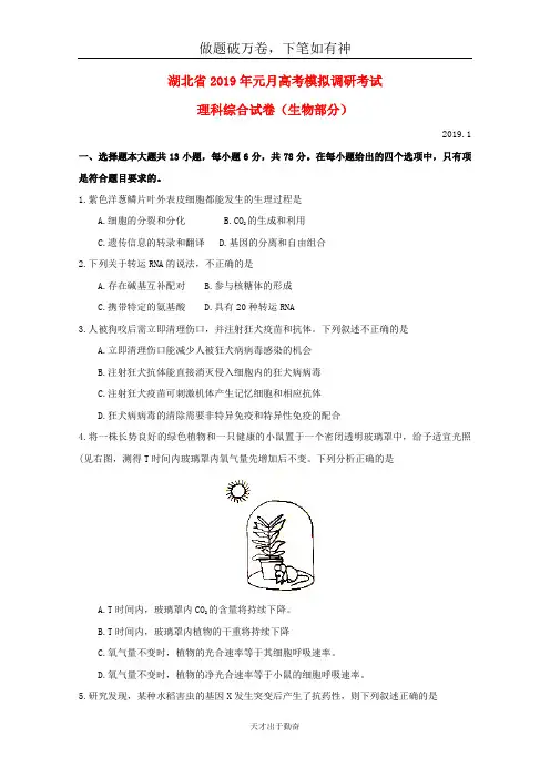 湖北省2019届高三生物1月模拟调研考试试题20-含答案 师生通用