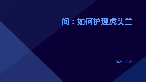 问：如何护理虎头兰
