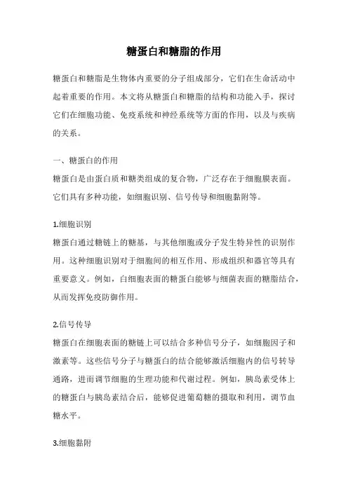 糖蛋白和糖脂的作用
