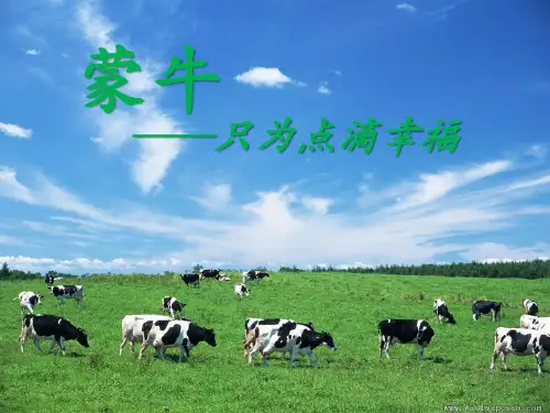 蒙牛企业战略管理分析
