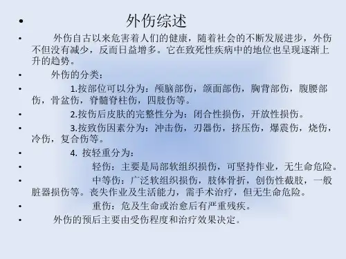 常见外伤_【PPT课件】