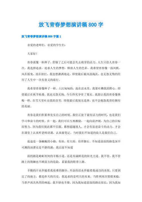 放飞青春梦想演讲稿800字
