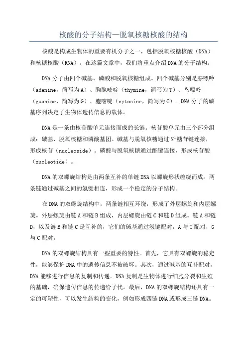 核酸的分子结构—脱氧核糖核酸的结构
