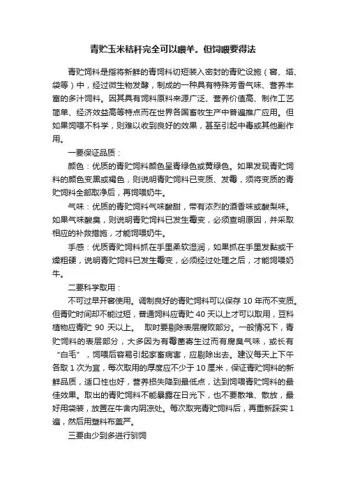 青贮玉米秸秆完全可以喂羊。但饲喂要得法