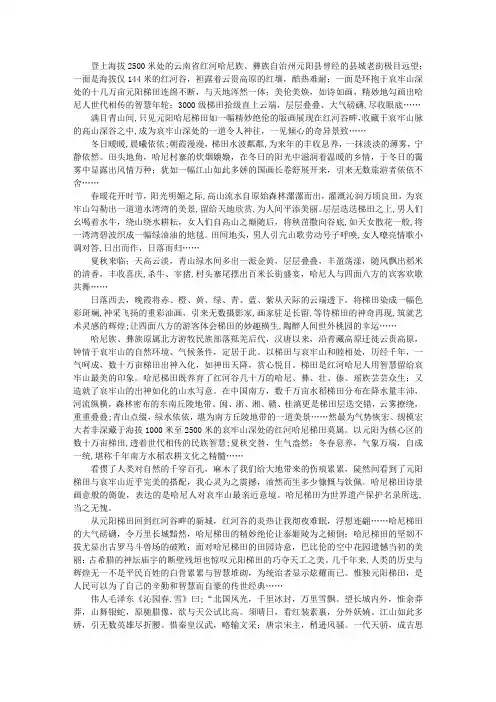 元阳梯田素描