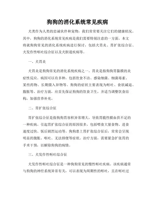 狗狗的消化系统常见疾病
