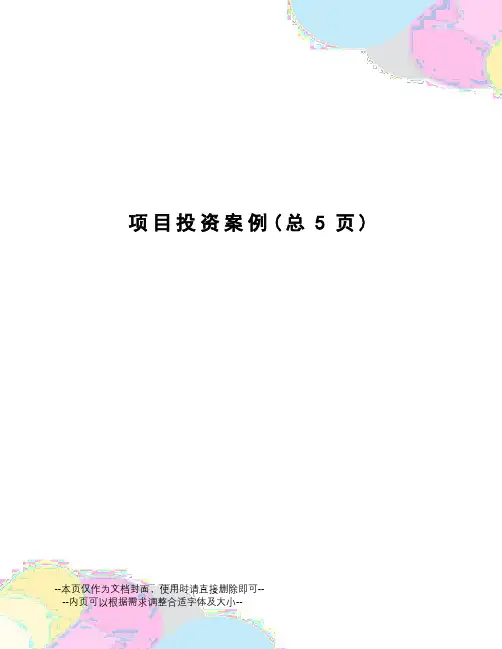 项目投资案例