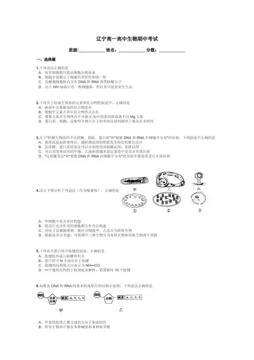 辽宁高一高中生物期中考试带答案解析
