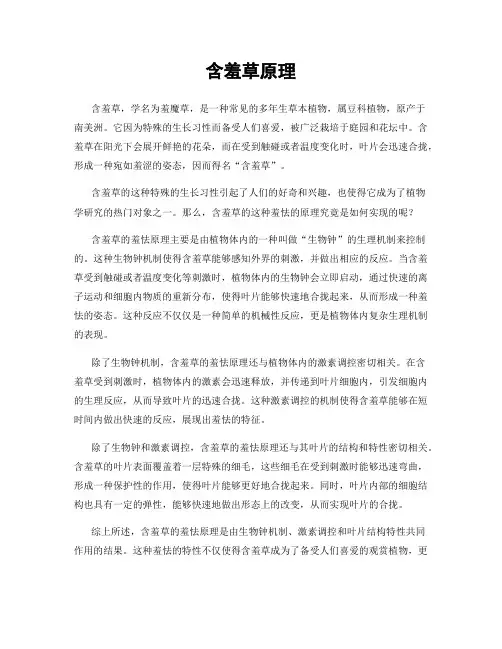 含羞草原理