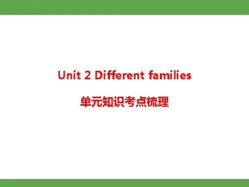 人教PEP英语2024三年级上册Unit 2 Different families 单元知识考点梳理