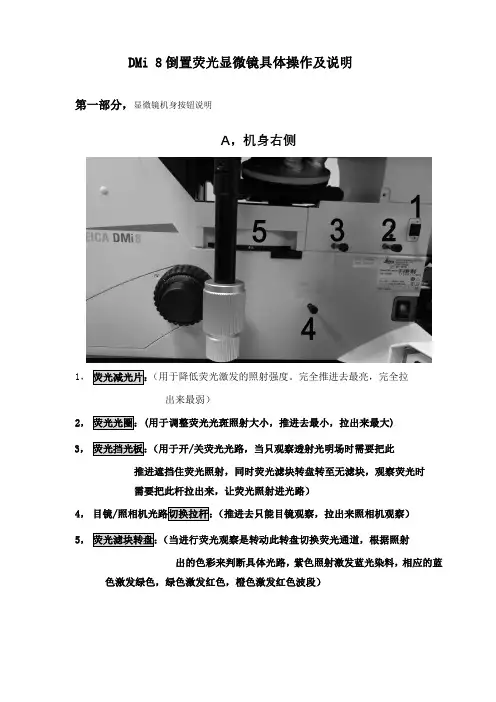 倒置荧光显微镜简具体操作及说明