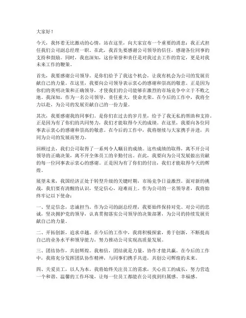 公司副总上任发言稿感谢