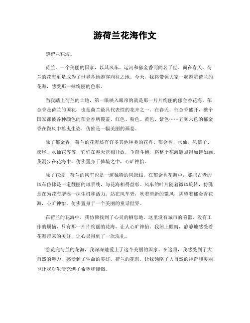 游荷兰花海作文