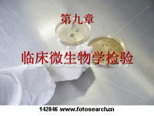 第九章 微生物 第十章 基因诊断PPT课件