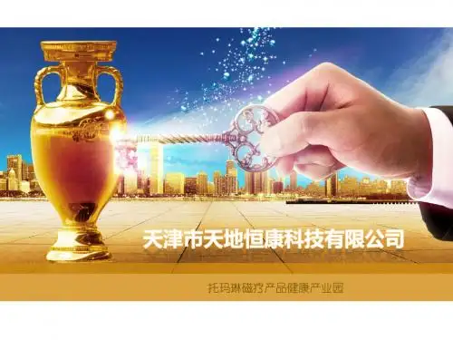 托玛琳磁疗产品,适合各种模式