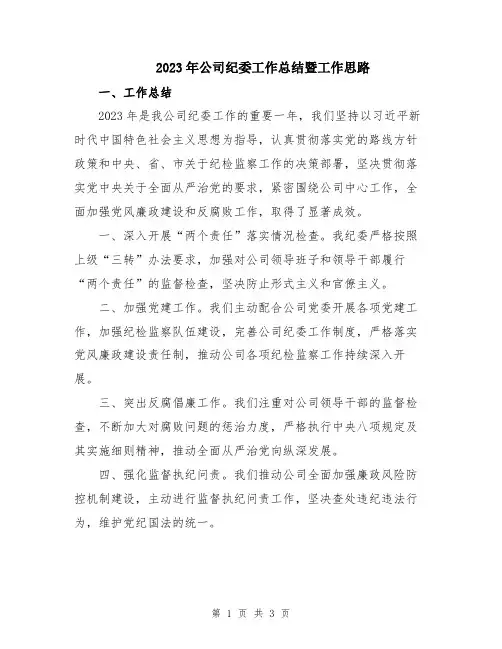 2023年公司纪委工作总结暨工作思路