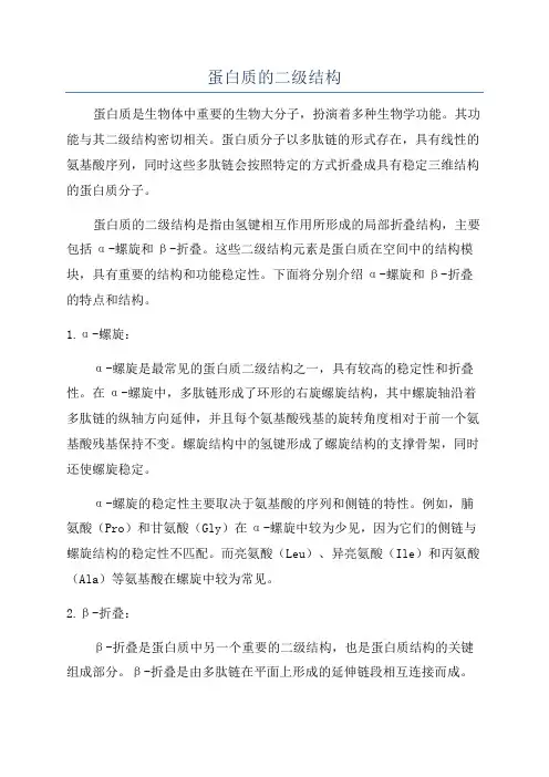 蛋白质的二级结构