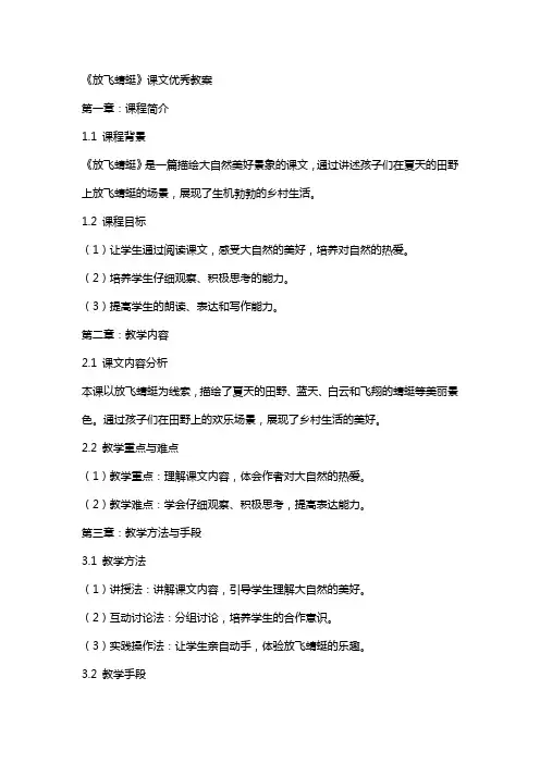 《放飞蜻蜓》课文教案