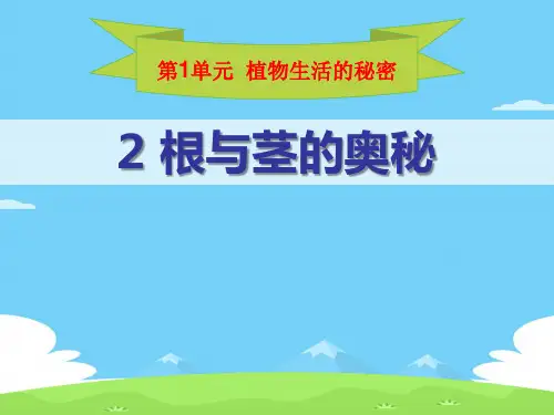 《根与径的奥秘》植物生活的秘密PPT课件【精选推荐下载】