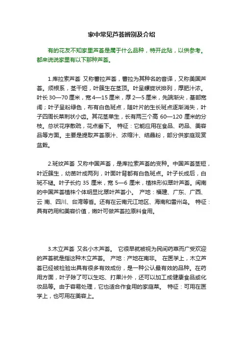 家中常见芦荟辨别及介绍