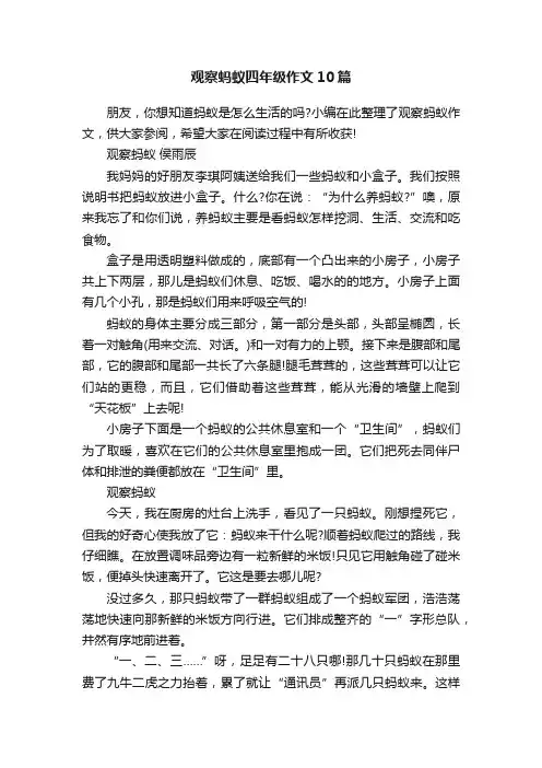 观察蚂蚁四年级作文10篇