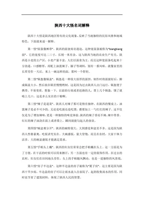 陕西十大怪名词解释
