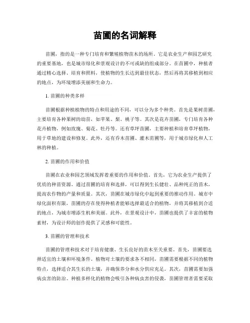 苗圃的名词解释