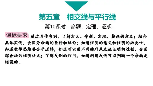 命题、定理、证明-ppt课件