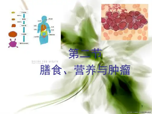 膳食营养和肿瘤PPT课件