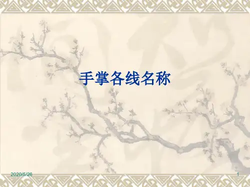 手掌各线名称PPT课件