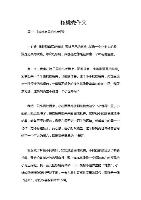 核桃壳作文
