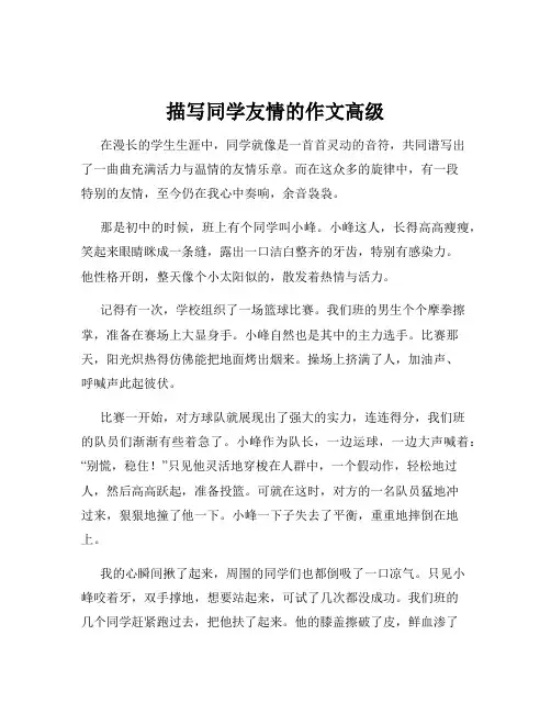 描写同学友情的作文高级