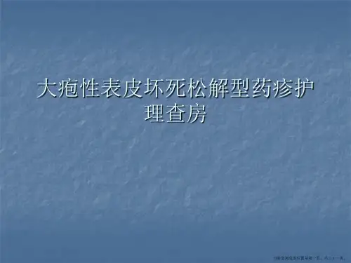 大疱性表皮坏死松解型药疹护理查房