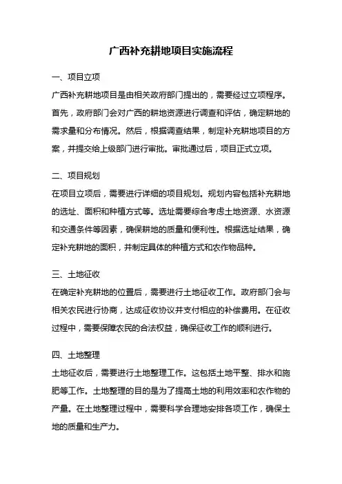 广西补充耕地项目实施流程