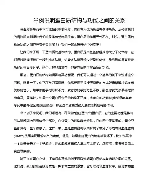 举例说明蛋白质结构与功能之间的关系