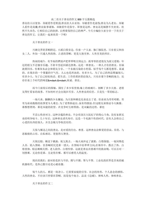 高二有关于善良的作文800字五篇精选