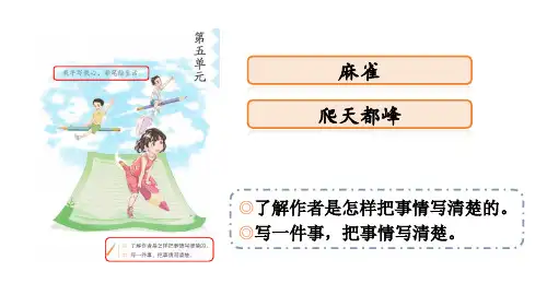 16 麻雀 课件 2024-2025学年部编版语文四年级上册