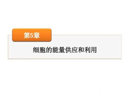 高考生物一轮总复习课件：必修1 第5章 第4节能量之源——光与光合作用