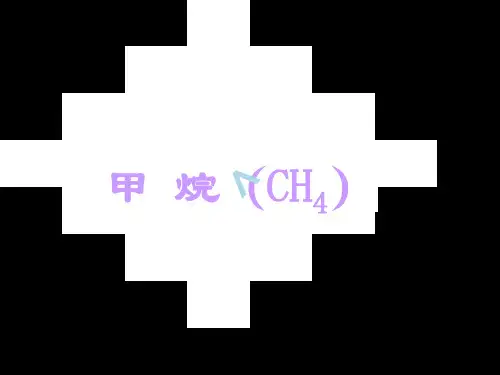 甲 烷(CH4)