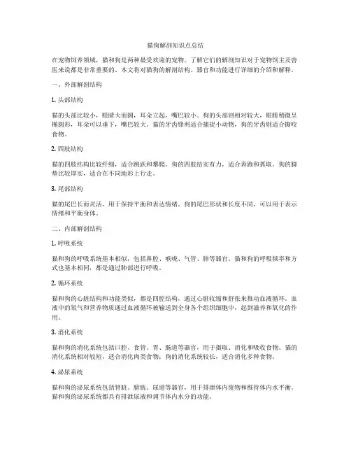 猫狗解剖知识点总结